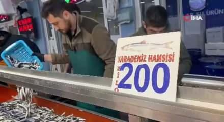 Bolu'da hamsi bolluğu s&uuml;r&uuml;yor: Kilosu 200 liradan rağbet g&ouml;rd&uuml;