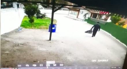 Devrilen ağacın altında kalmaktan son anda kurtuldu