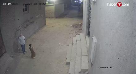 Mısır'da sokak ortasında dehşet: Baba ve oğluna saldırı &uuml;lkede infial yarattı