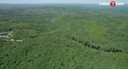 Orman vasfını yitiren arazilere yeni kadastro d&uuml;zenlemesi