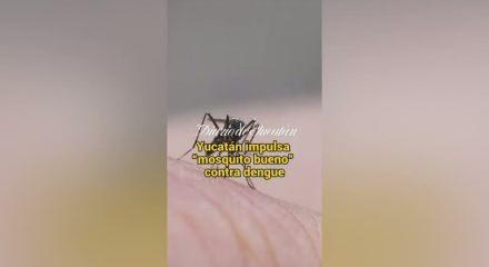 Tropikal hastalık Avrupa'da salgına d&ouml;n&uuml;şebilir