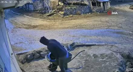 Amasya'da  bir bidon s&uuml;t&uuml; deviren gencin &ccedil;aresiz anları kamerada