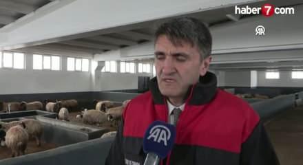 &Ccedil;ift&ccedil;iler hayvancılığa destek projesinden memnun!