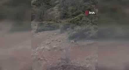 Erzincan'da g&ouml;r&uuml;nt&uuml;lendi: Avlamanın cezası 870 bin TL