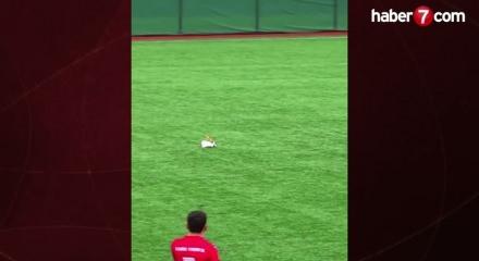 Futbol tarihinde g&ouml;r&uuml;lmemiş olay: Kalecinin vurduğu top martıya &ccedil;arptı!