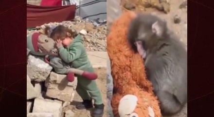 D&uuml;nya maymun Punch'ı konuşurken K&uuml;ba iki y&uuml;zl&uuml;l&uuml;ğ&uuml; haykırdı