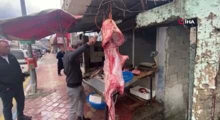 Osmaniye'de ağa takıldı: Kısmetindeki balık değil dev sanki