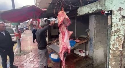 98 kilogram ağırlığında: Dev yayın balığı tezgahta ilgi odağı oldu