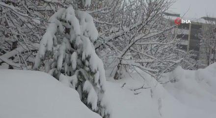 Bitlis'te kar esareti: : 288 k&ouml;y yolu ulaşıma kapandı