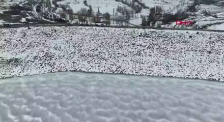 Erzurum&rsquo;da dondurucu soğuk: Baraj buz tuttu, sarkıtlar 2 metreyi buldu
