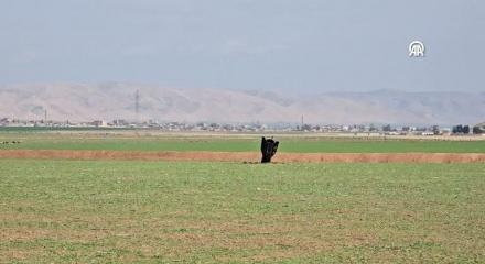 iran: T&uuml;rkiye topraklarına f&uuml;ze atılmadı, T&uuml;rkiye'nin egemenliğine saygılıyız dedi