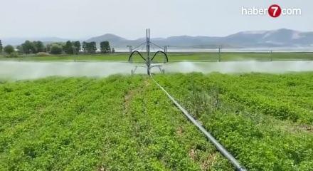 Tarım iş&ccedil;ilerinin g&uuml;nl&uuml;k &uuml;creti arttı!