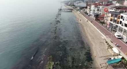Tekirdağ deniz &ccedil;ekildi 'Kral yolu' ortaya &ccedil;ıktı