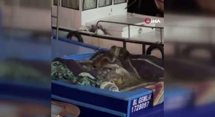 Bursa'da teknesinde buldu: Kendisi bile inanamadı!