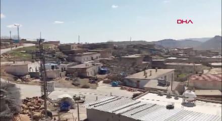 Kuduz ş&uuml;phesi Mardin'deki bir mahalleyi karantinaya aldırdı