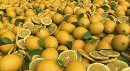 Limon fiyatları zirveye &ccedil;ıktı, Erdoğan fiyat d&uuml;zenlemesi i&ccedil;in adım attı