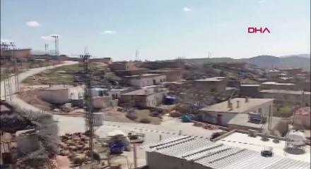 Mardin'in Kaynakkaya Mahallesi'nde kuduz alarmı