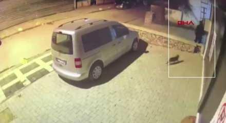 Merdiven dayayak girdikleri evdekilerin ellerini ve ayaklarını bağlayıp altınları &ccedil;aldılar 