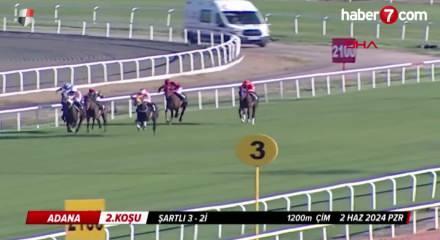 Sakatlanan yarış atıyla ilgili skandalda yeni gelişme!