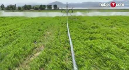 T&uuml;rkiye'de 10 yıldır yasaktı! İran savaşı sonrası serbest oldu!