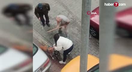 Pitbull saldırısında yeni g&ouml;r&uuml;nt&uuml;ler: Sahibinin yaptığı vahşeti getirdi