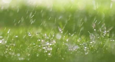 66 yıl sonra gelen tarihi başarı, sezon harika başladı