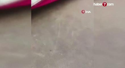 Bangladeş&rsquo;te feribota girmeye otob&uuml;s nehre d&uuml;şt&uuml;: 2 &ouml;l&uuml;