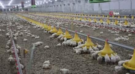 Devlet desteğinden faydalanan &uuml;retici ikinci &ccedil;iftliğini a&ccedil;tı 