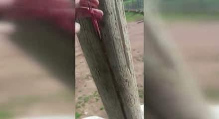 Şanlıurfa'da ka&ccedil;ak elektrikte akılalmaz y&ouml;ntem! Direği oyup hat &ccedil;ektiler....