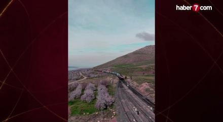 Elazığ'da kayısı &ccedil;i&ccedil;ekleriyle bahar senfonisi: Doğada g&ouml;rsel ş&ouml;len başladı