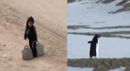 Gazze'de &ccedil;ocuk olmak... Bir penguen kadar konuşulmayacak