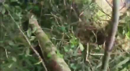 Kolombiya'da 110 askeri taşıyan u&ccedil;ak d&uuml;şt&uuml;