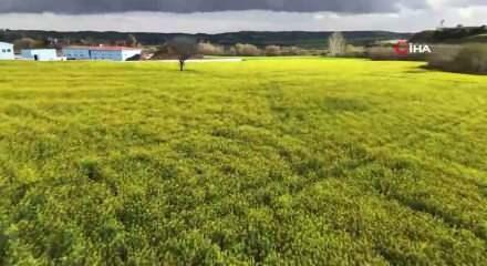 &Ccedil;ft&ccedil;iye verilen Devlet desteği &uuml;reticinin y&uuml;z&uuml;n&uuml; g&uuml;ld&uuml;rd&uuml;...