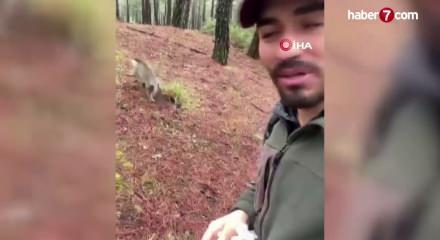 Denizli'de mantar aramak i&ccedil;in &ccedil;ıktığı doğada maymun buldu