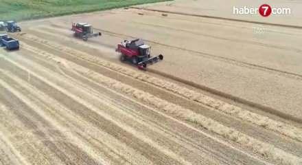 G&uuml;bre ithalatında g&uuml;mr&uuml;k vergisi sıfırlandı