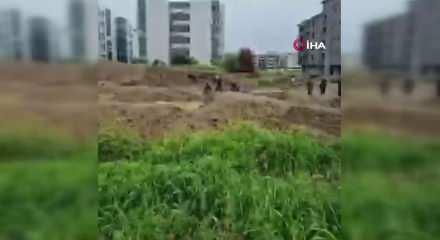 İzmir'de &ccedil;amura saplanan &ccedil;ocukları itfaiye kurtardı