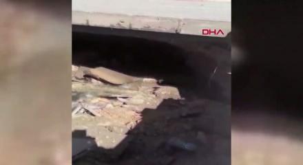 Siirt&rsquo;te kaldırım &ccedil;&ouml;kt&uuml;, ekipler harekete ge&ccedil;ti: Yol kapatıldı