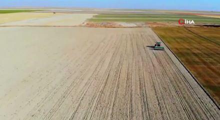 Tarımda b&uuml;y&uuml;k destek d&ouml;nemi başladı: Kalkınma i&ccedil;in y&uuml;zde 70 hibe m&uuml;jdesi