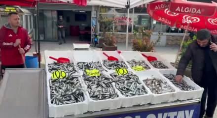 Zonguldak'ta tezgahlarda istavrit bolluğu: Kilosu 100 liradan satılıyor