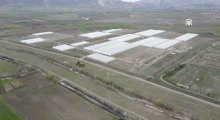 5 d&ouml;n&uuml;mden 4 milyon fideye: Erzincanlı &uuml;retici Doğu Anadolu'nun fidecisi oldu