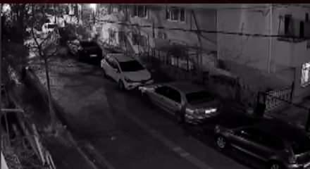 Avcılar&rsquo;da başıboş k&ouml;pek ter&ouml;r&uuml;nden canını ara&ccedil;ların &uuml;zerine &ccedil;ıkarak ka&ccedil;tı