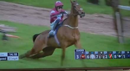 İngiltere'deki at yarışlarında feci son: Birinci olan şampiyon at uyutuldu