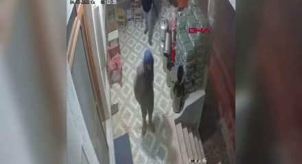 K&ouml;pek saldırısında parmağı koptu: O anlar kamerada