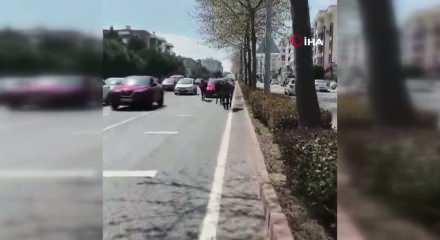 Tekirdağ'da başıboş atlar şehirde yollara &ccedil;ıktı s&uuml;r&uuml;c&uuml;ler zor anlar yaşadı