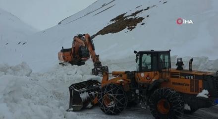 Van'da Nisan'da kar s&uuml;rprizi: 11 yerleşim yeri yolu kapandı