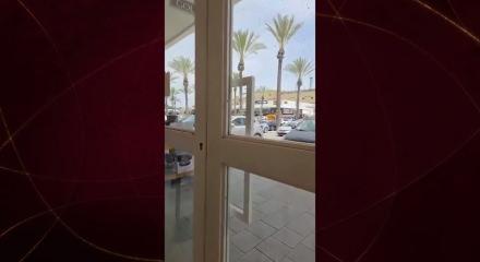 Arıların istila ettiği İsrail'de u&ccedil;ak seferleri iptal edildi