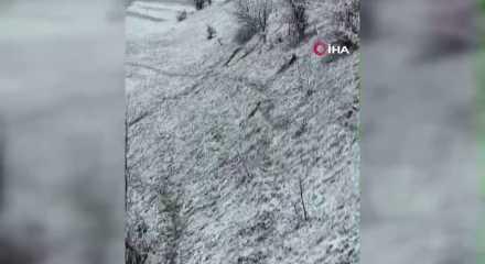 Artvin'de ambulans u&ccedil;uruma yuvarlandı: 1 &ouml;l&uuml;, 4 yaralı