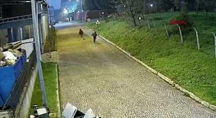 Bursa merkezli 3 ilde su&ccedil; &ouml;rg&uuml;t&uuml;ne operasyon; 11 tutuklama