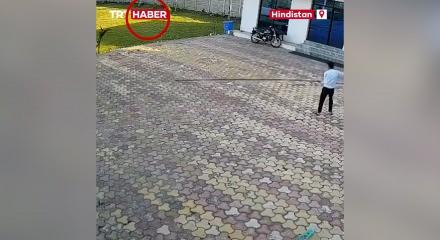 Hindistan'da akılalmaz olay! Maymunu kovalamak isterken canından oldu