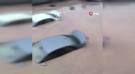 Siirt&rsquo;te ara&ccedil;lar sel sularında kayboldu, onlarca hayvan telef oldu